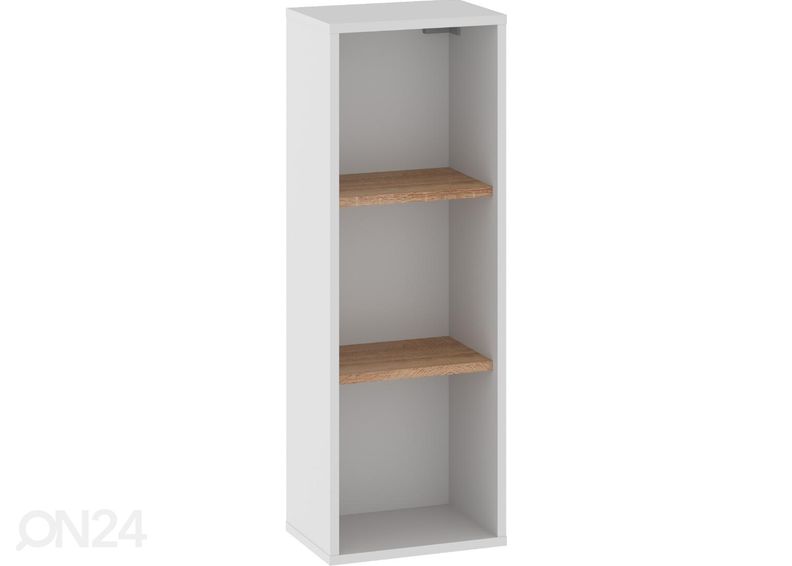 Seinähylly Bos1 kuvasuurennos