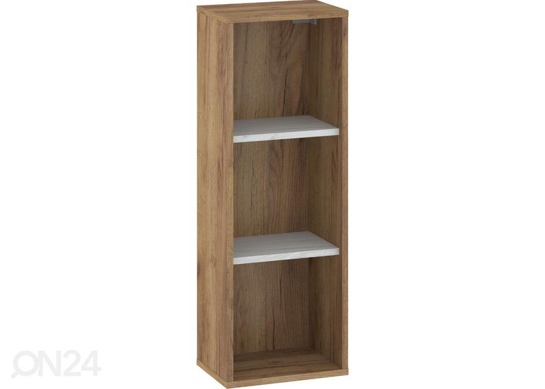 Seinähylly Bos1 kuvasuurennos