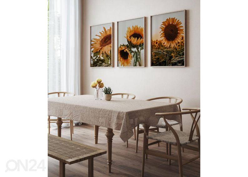 Seinäjuliste Auringonkukat I 40x50 cm kuvasuurennos