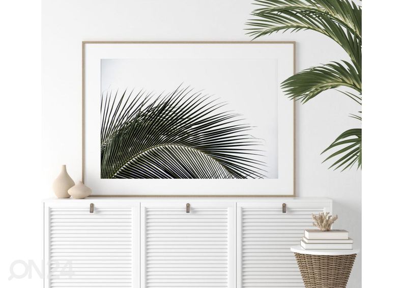 Seinäjuliste Palmunlehti taivasta vasten 40x50 cm kuvasuurennos