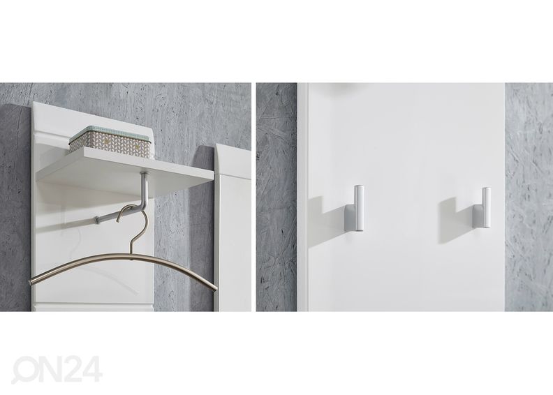 Seinänaulakko Adana kuvasuurennos