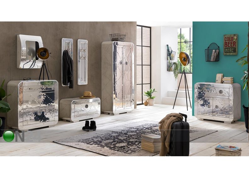 Seinänaulakko Airman kuvasuurennos