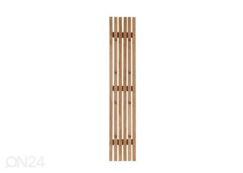 Seinänaulakko Alwar kuvasuurennos