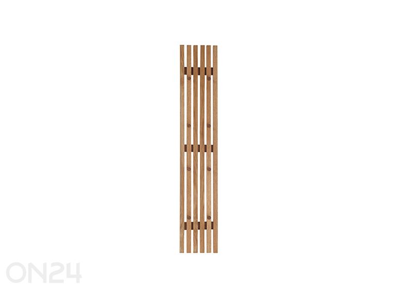 seinänaulakko Alwar kuvasuurennos