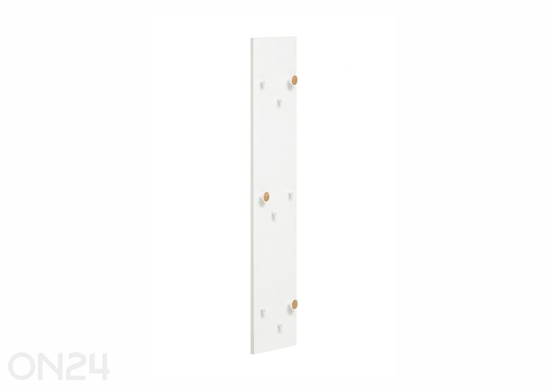 Seinänaulakko Bjarne kuvasuurennos