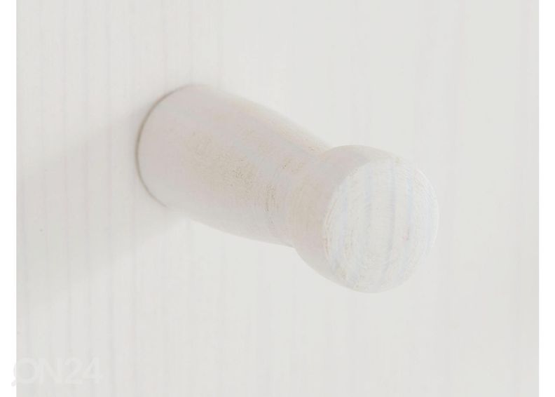 Seinänaulakko Indra kuvasuurennos