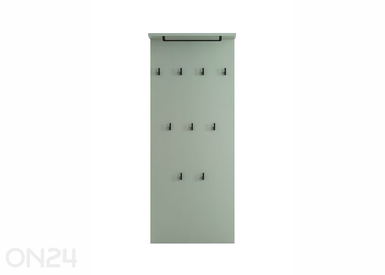 Seinänaulakko Janne kuvasuurennos