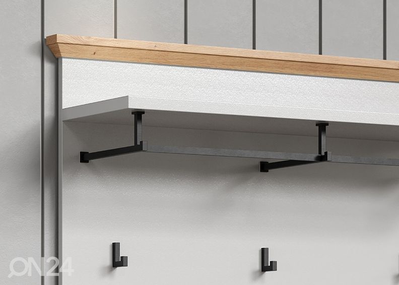 Seinänaulakko Landside kuvasuurennos