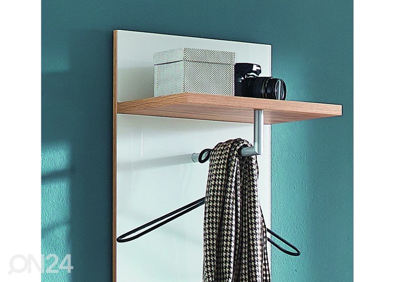 Seinänaulakko Telde kuvasuurennos