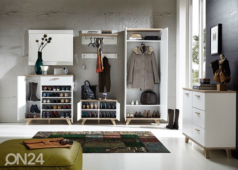 Seinänaulakkoryhmä Oslo kuvasuurennos