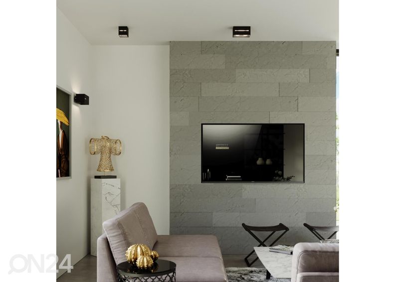 Seinävalaisin Lobo, musta kuvasuurennos