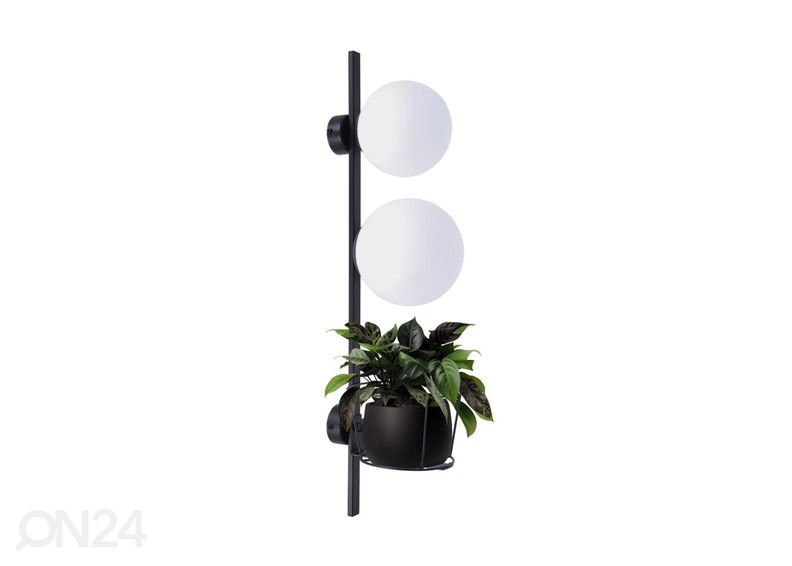 Seinävalaisin Plant kuvasuurennos