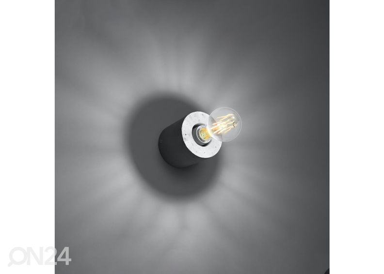 Seinävalaisin Salgado, betoni kuvasuurennos