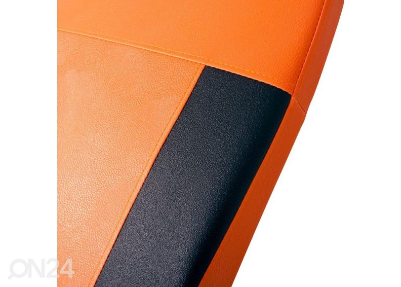 Selkäkippi Inverso Profi inSPORTline kuvasuurennos