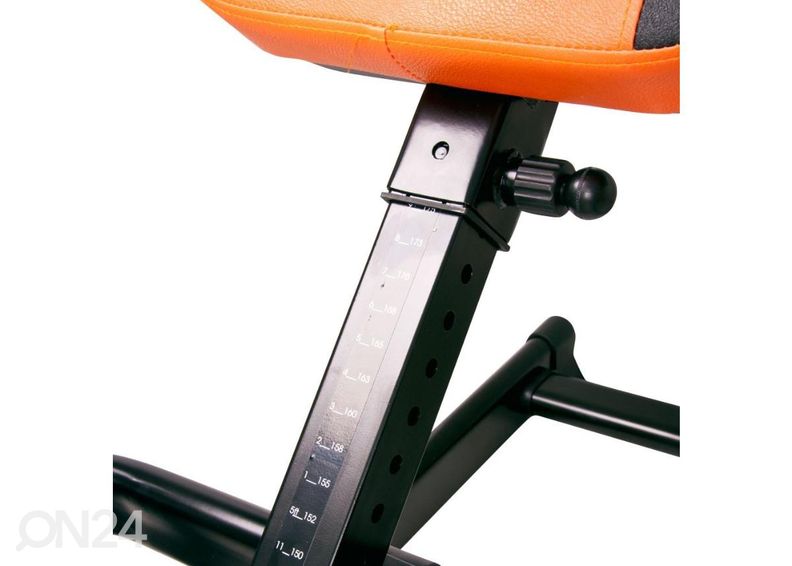 Selkäkippi Inverso Profi inSPORTline kuvasuurennos