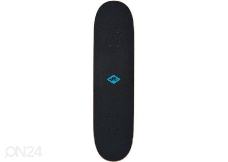 Skeittilauta Schildkrot Slider Monster 510642 kuvasuurennos