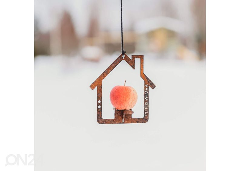 Talipalloteline Petteri Wiimaa Home kuvasuurennos