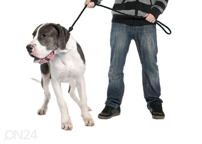 Talutushihna 183cm/10 mm musta Duvo+ kuvasuurennos