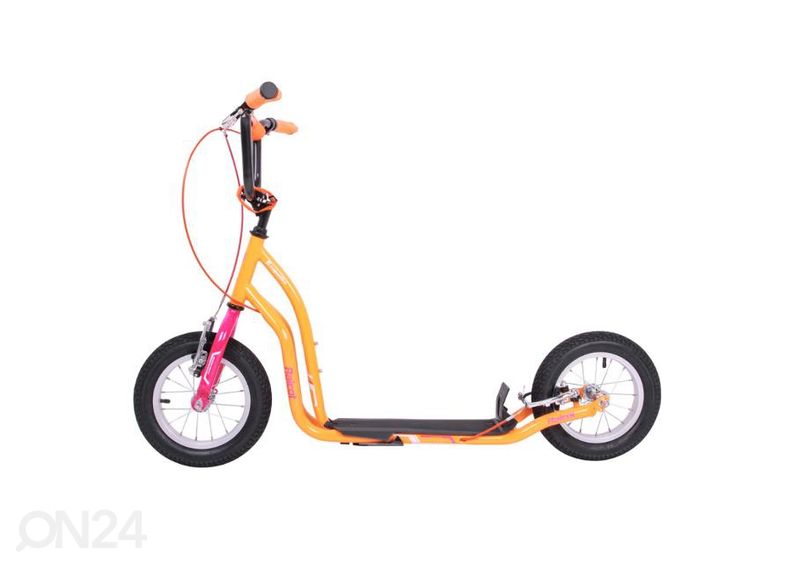 Tasapainopyörä Raicot SE kuvasuurennos