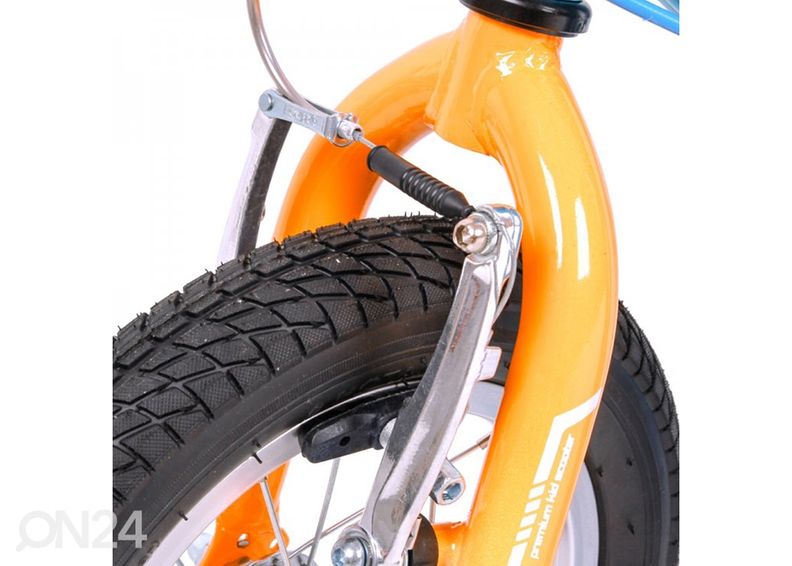 Tasapainopyörä Raicot SE kuvasuurennos