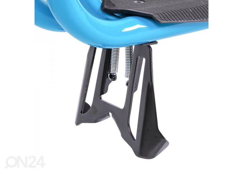 Tasapainopyörä Raicot SE kuvasuurennos