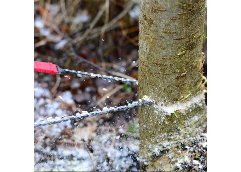 Taskusaha Nordic kuvasuurennos
