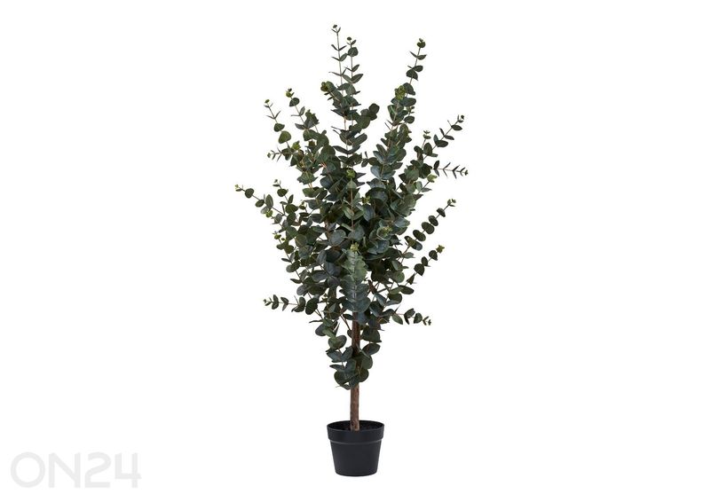 Tekoeukalyptus kuvasuurennos