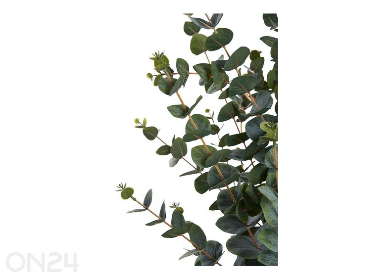 Tekoeukalyptus kuvasuurennos