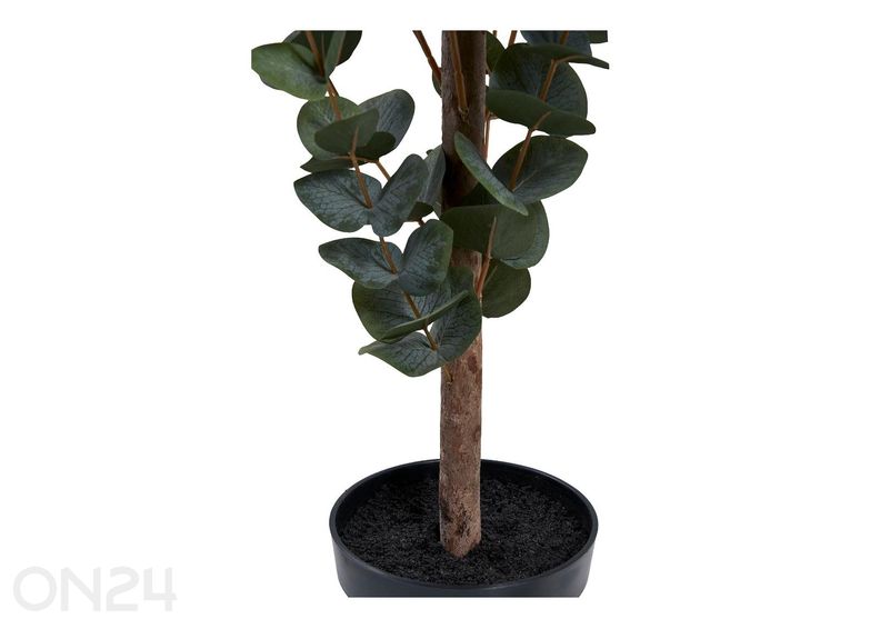 Tekoeukalyptus kuvasuurennos