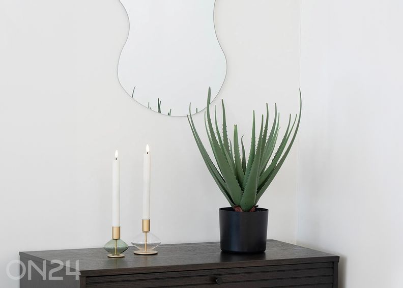 Tekokasvi Aloe Vera 1 kpl kuvasuurennos