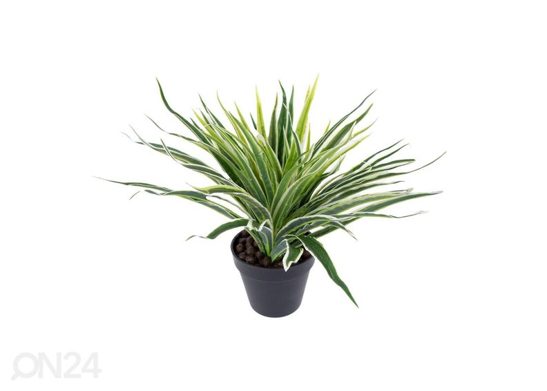 Tekokasvi Green grass 30 cm kuvasuurennos