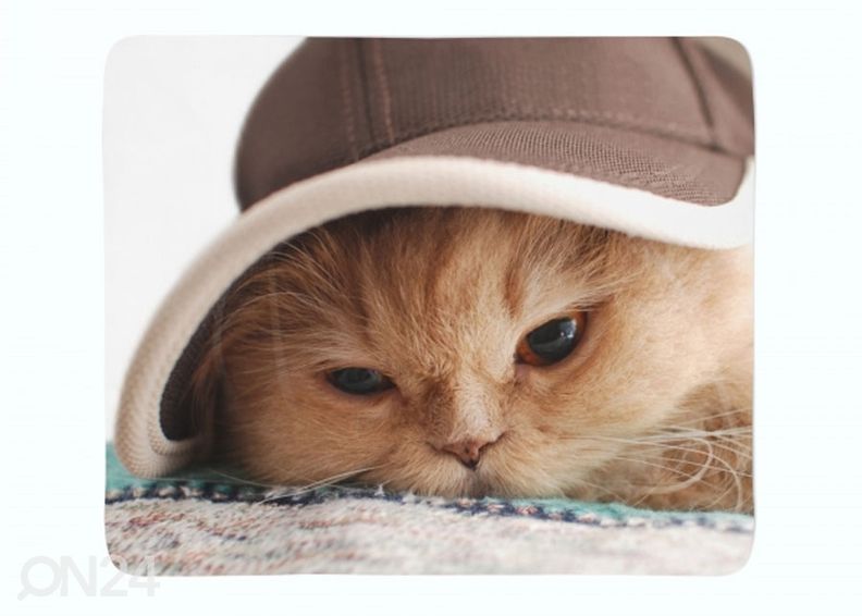 Torkkupeitto Cat in the Hat 130x150 cm kuvasuurennos