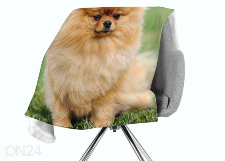Torkkupeitto Pomeranian Dog 130x150 cm kuvasuurennos