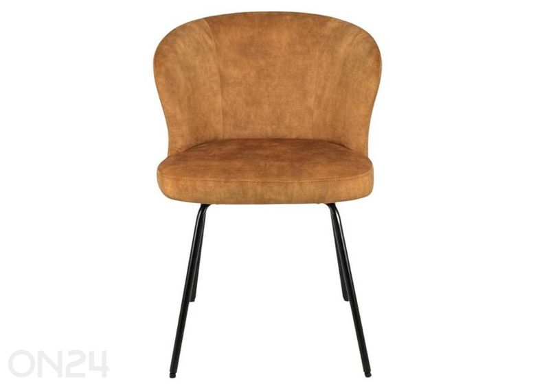 Tuoli Lonni kuvasuurennos