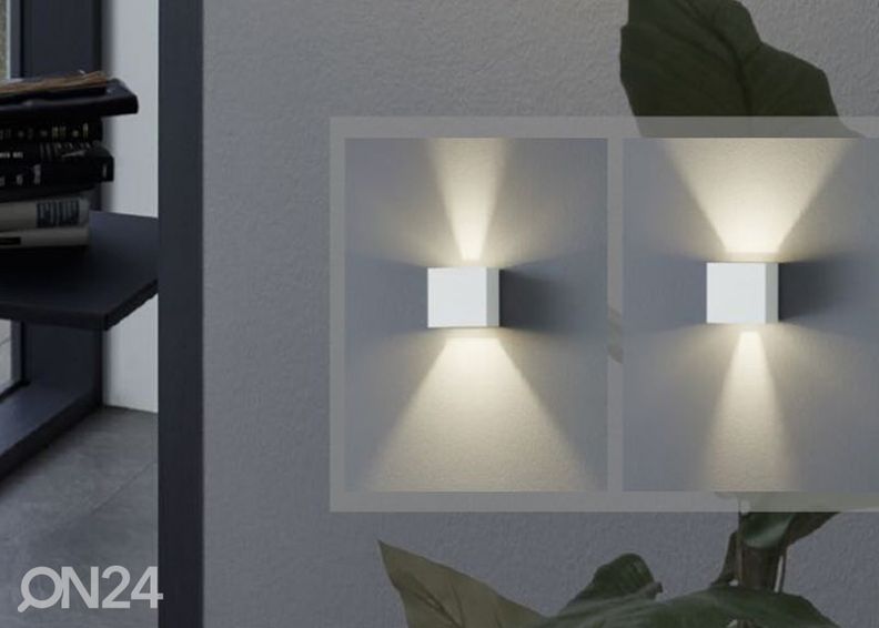 Ulkovalaisin Calpino kuvasuurennos