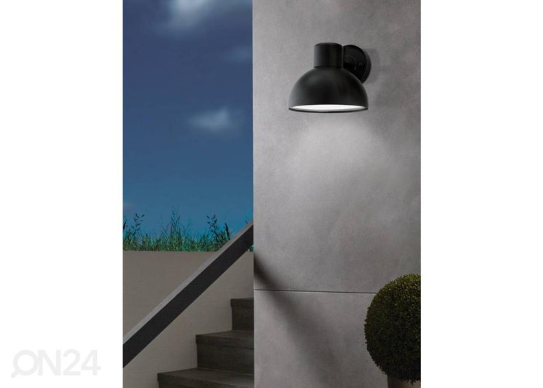 Ulkovalaisin Entrimo kuvasuurennos