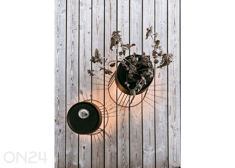 Ulkovalaisin Koster, musta kuvasuurennos