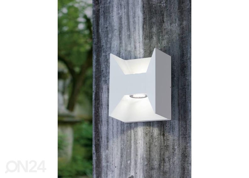 Ulkovalaisin Morino kuvasuurennos