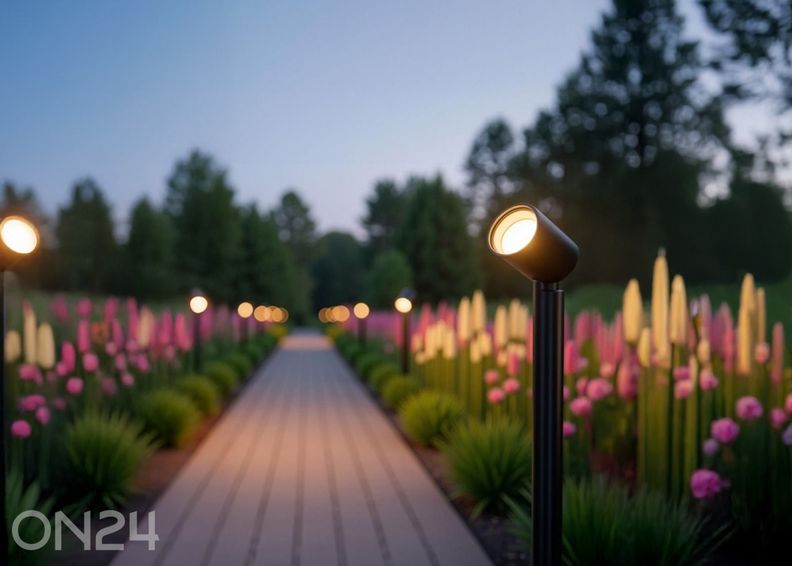 Ulkovalaisin Nocturne kuvasuurennos