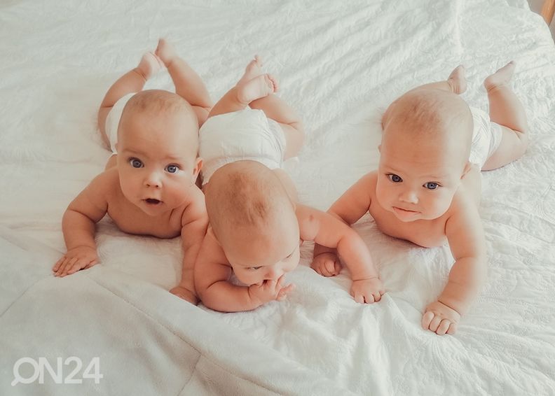 Vaipat BRITTON kuvasuurennos