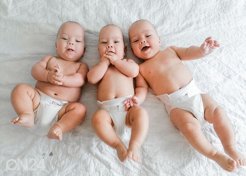 Vaipat BRITTON kuvasuurennos