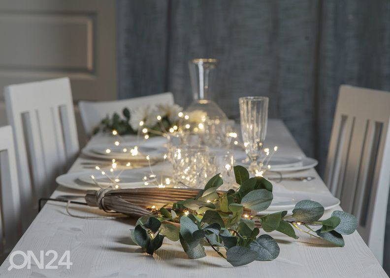 Valokoriste Eukalyptus kuvasuurennos