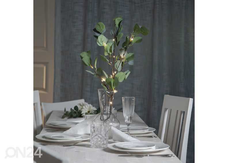 Valokoriste Eukalyptus kuvasuurennos