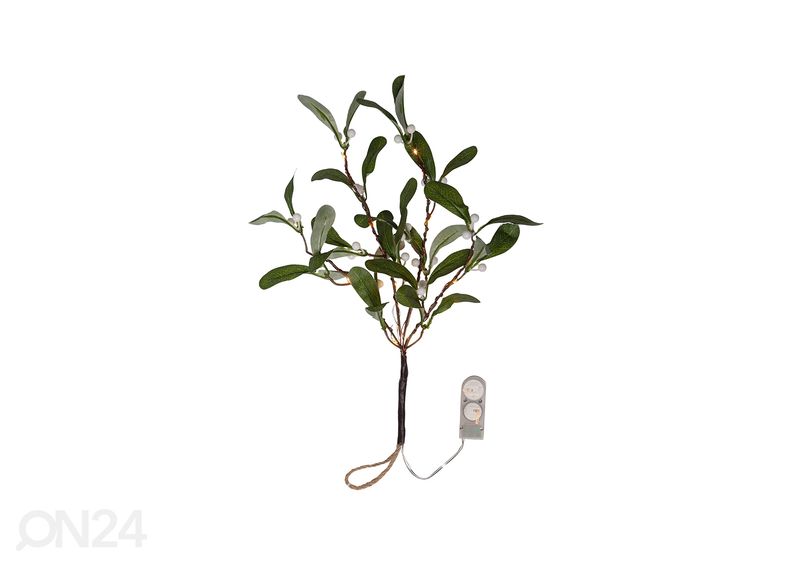 Valokoriste Mistel kuvasuurennos