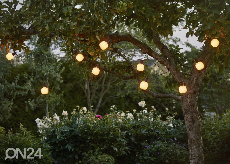 Valosarja Circus kuvasuurennos