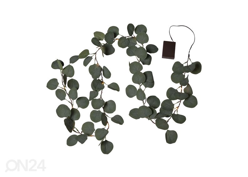 Valoseppele Eucalyptus kuvasuurennos