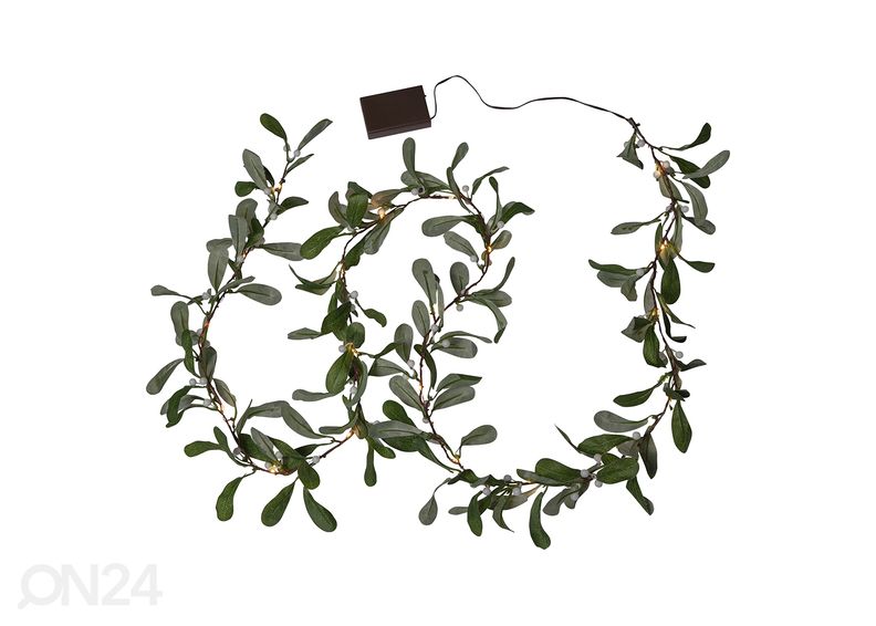 Valoseppele Mistel kuvasuurennos