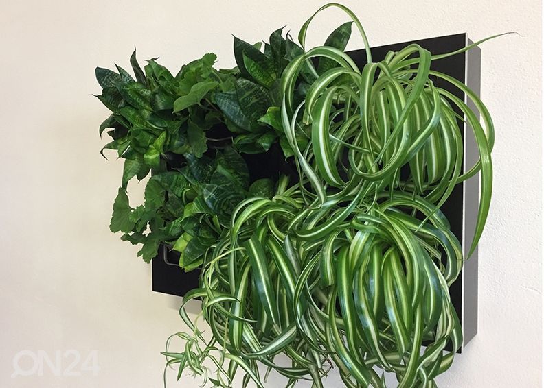 Viherseinä Dark 8B2 kuvasuurennos