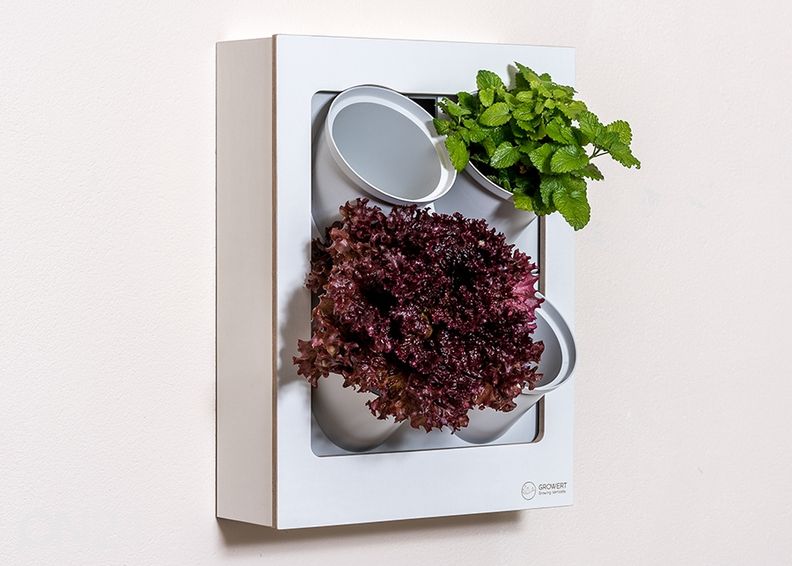 Viherseinä Light 4G2 kuvasuurennos