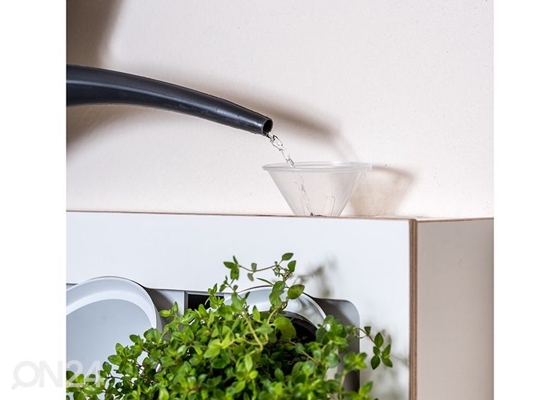 Viherseinä Light 4G2 kuvasuurennos